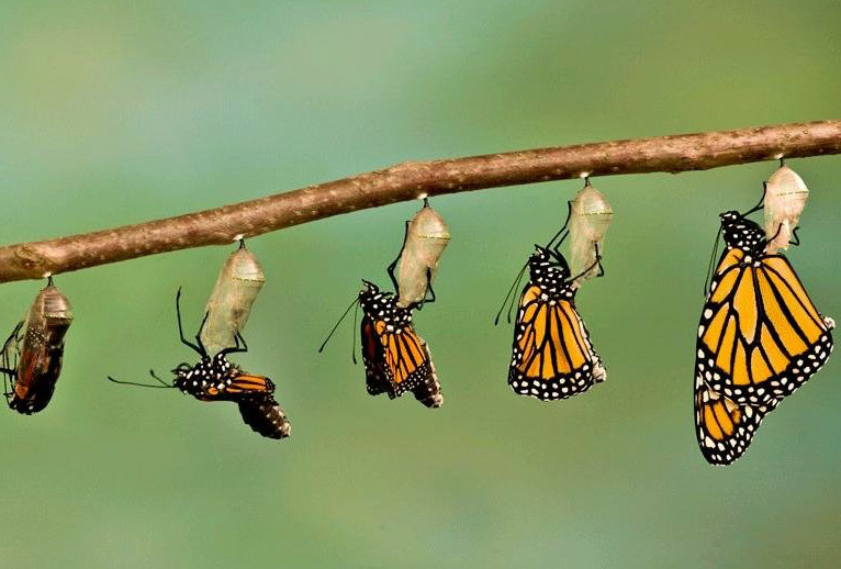 Transformeer je merk door te denken in betekenisvolle trajecten